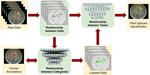 AI-Powered Plant Species Mapping to Support Phenology and Climate Research