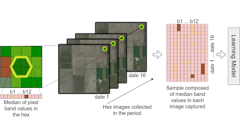 Productive Crop Field Detection: A New Dataset and Deep-Learning Benchmark Results